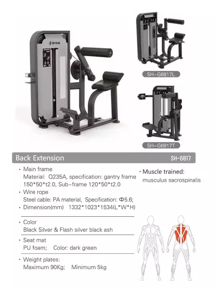 SH-G6817 Back Extension