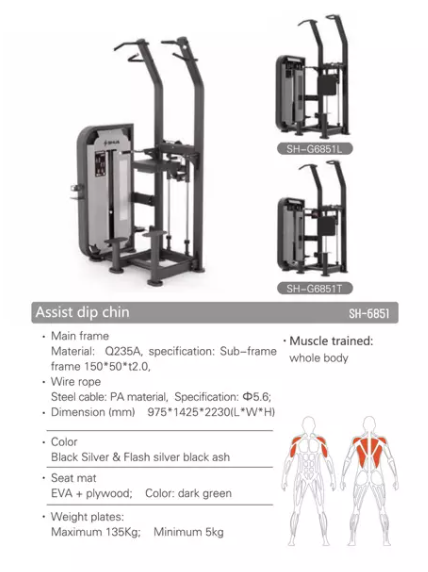 SH-G6851 Chin/Dip Assist