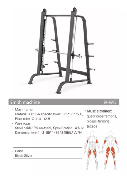 SH-G6853 Smith Machine