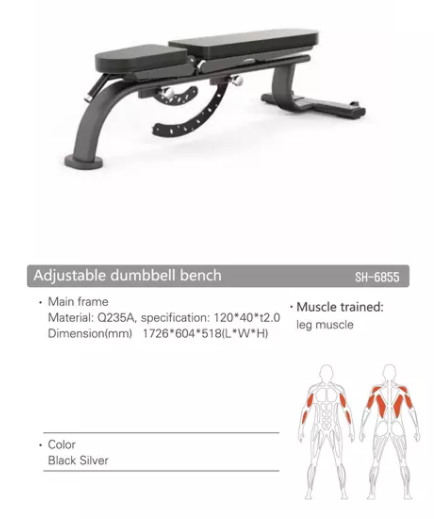 SH-G6855 Adjustable dumbbell bench