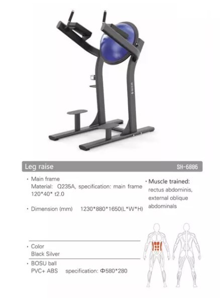 SH-G6886 Leg Raise