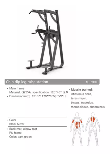 SH-G6888 Chin Dip Leg Raise Station